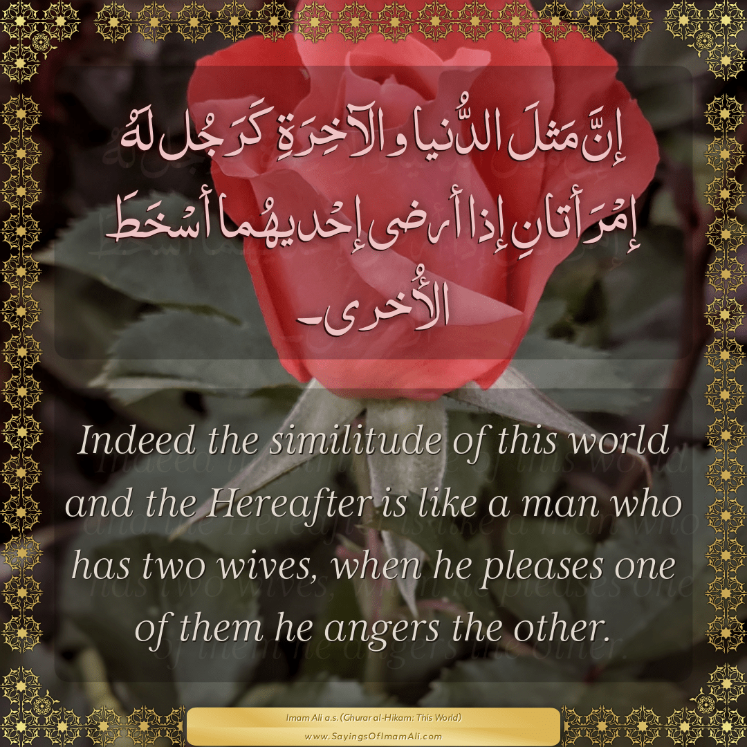 Indeed the similitude of this world and the Hereafter is like a man who...